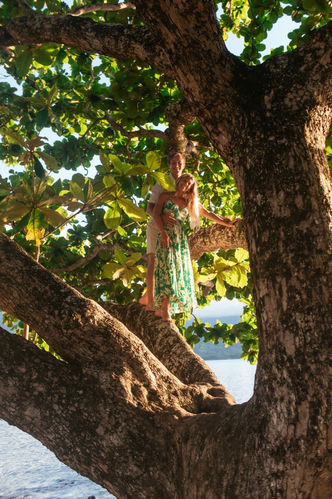 Will and Emma standing together up in a huge tree